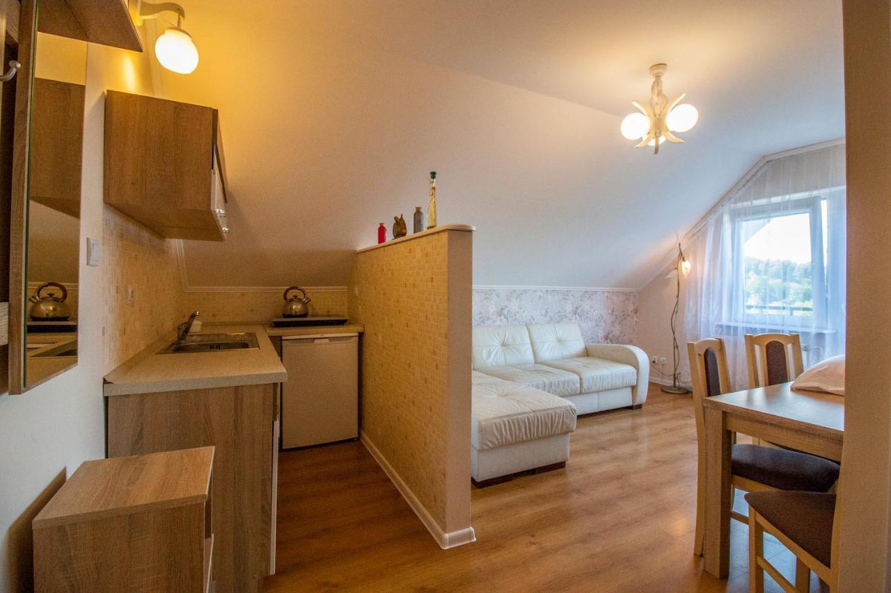 Bieszczadzkie Wzgorze Apartment Myczkow Exterior photo